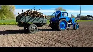 Возим дрова с МТЗ-82
