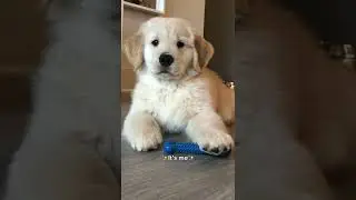 Hi 🥺👋🏻 