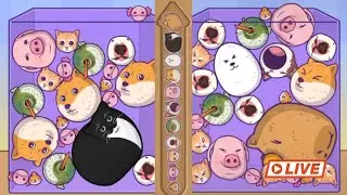 Merge Fellas Game Live Streaming #6🤯💀💩🎃