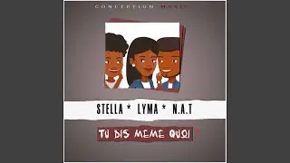 Tu dis même quoi (feat. Lyma, N.a.T)