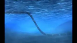 Seawater Cooling