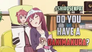 Do You Have A Dakimakura? | 