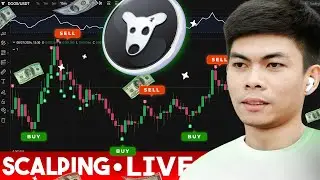 DOGS Airdrop LIVE Spot Post-Listing Scalping!!!