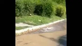 Вода,вода
