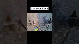 Photos You Won't Believe Are Real 😯 