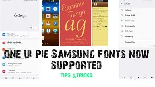 One Ui Pie Fonts Any Samsung device Galaxy A50,A30,J8,J6,Note & S Series [HINDI]