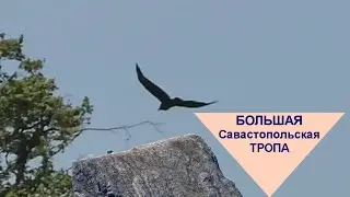 Крым, Большая Севастопольская тропа...