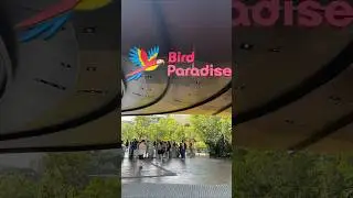 Bird Paradise Singapura | O que Fazer em Singapura com Crianças