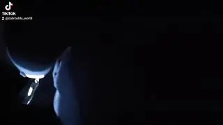 Пошли с тимой на ночной Радик