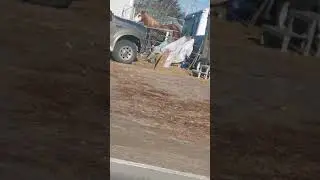 Cruauté animale cheval dans un minuscule enclos