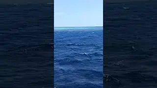 Come snorkeling with me at Sharm El Sheikh, visiting Ras Mohammed & White Island #vlog #snorkeling