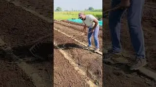 खाद उतारने का सही तरीका 🪱🌾#vermicompost #organicfarming #agriculture