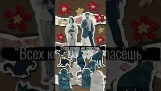 In.spyral, Кирилл Устинов - Всех кошек не спасёшь (NEW, 2024) || #inspyral #кириллустинов #newsong