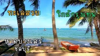ทะเลใกล้กรุงเทพ ขับรถไม่เกิน 2 ชั่วโมง หาดบางเสร่ พักผ่อนริมหาด ชลบุรี Bang Saray Beach #thailand 🇹🇭