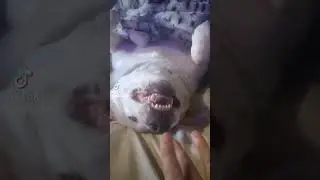 haha Jax is silly