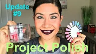 Project Polish Update #9