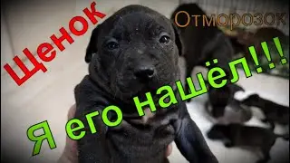 Я ЕГО НАШЁЛ!!! Щенок отморозок!