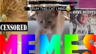 memes that keep me up at night