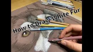 How to Draw WHITE FUR in Pastels (step by step tutorial)