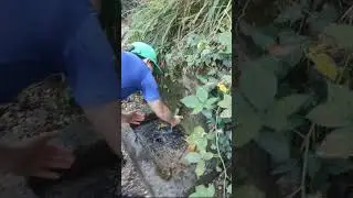 14 октября Покров