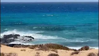Fuerteventura #Shorts #Travel #traveling #Fuerteventura #life #dreams #paradise #playa #beach #Viral