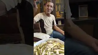 Фёдорович огонь!!!!Грибы в Тверской области.Сушим грибы.