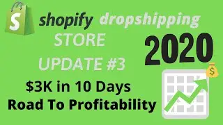 $3k in 10 Days with Shopify Dropshipping, Store Update #3 - 2020 | Dropship Series