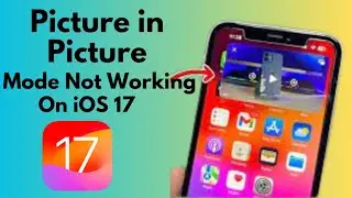 How To Fix PIP Mode Not Working On iOS 17 (2023)