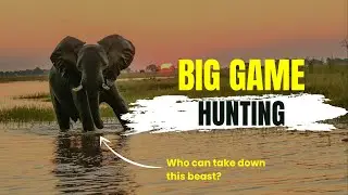 8 Animals Powerful Enough to Take Down an Elephant
