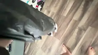 строго надел гаечке на голову мусорный пакет