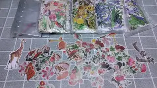 Unboxing florist papers Stickers pink and blue