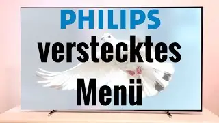 Hidden menu Philips TV