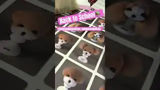 Grooming classes begin tomorrow 🐩 #doggrooming​⁠  #dogs @MelanieNewmanSalonEssentials