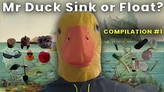 Sink or Float: Compilation 1 by Mr. Duck
