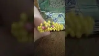 https://t.me/+TDsL8vUbiL02NDE6 ссылка моего ТГ. Там можно увидеть много красоты и купить игрушки