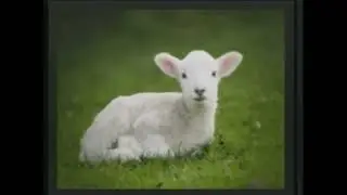 bbryant John 3:16 - How to get everlasting life.