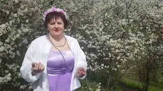 Елена Гаевская   Белая черёмуха
