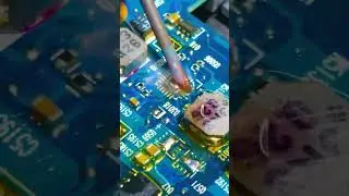 #hp