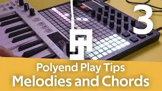 Polyend Play Tips - Melodies and Chords Tutorial