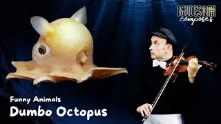Dumbo Octopus - by Aleksey Igudesman