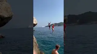 WOULD YOU DO THIS ?