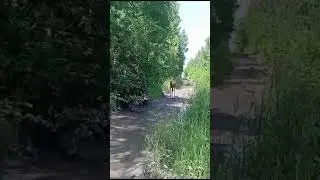 28 июня 2024 г.
