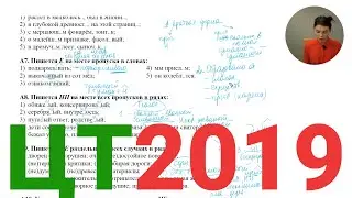 ЦТ 2019