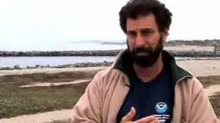 Leatherbacks: Pacific Upwelling & Jellyfish