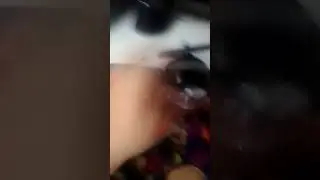 Это надоело про хомяка пускай будут тыкать котика