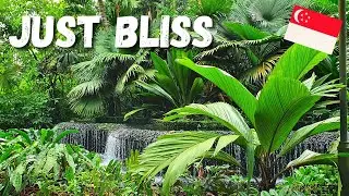 Singapore Botanic Gardens | National Orchid Garden | Best Botanic Garden in the World