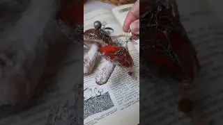 Лесные грибочки 🍄 ручной работы.