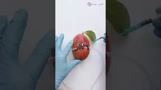 Mango kidney transplant🥭 - GOES TERRIBLY BAD😱💀 