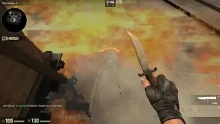 Afterplant Molotov