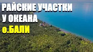 Земля на Бали у океана. Райские учатски. Район Негара